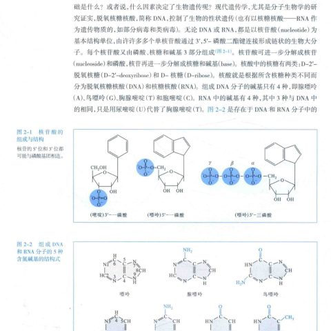 朱玉贤《现代分子生物学》第5版PDF电子书| 青柠 朱玉贤《现代分子生物学》第5版PDF电子书| 青柠