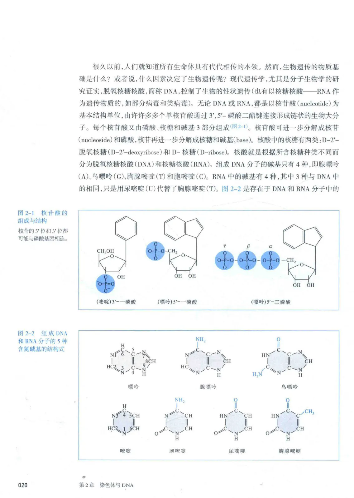 朱玉贤《现代分子生物学》第5版 PDF电子书