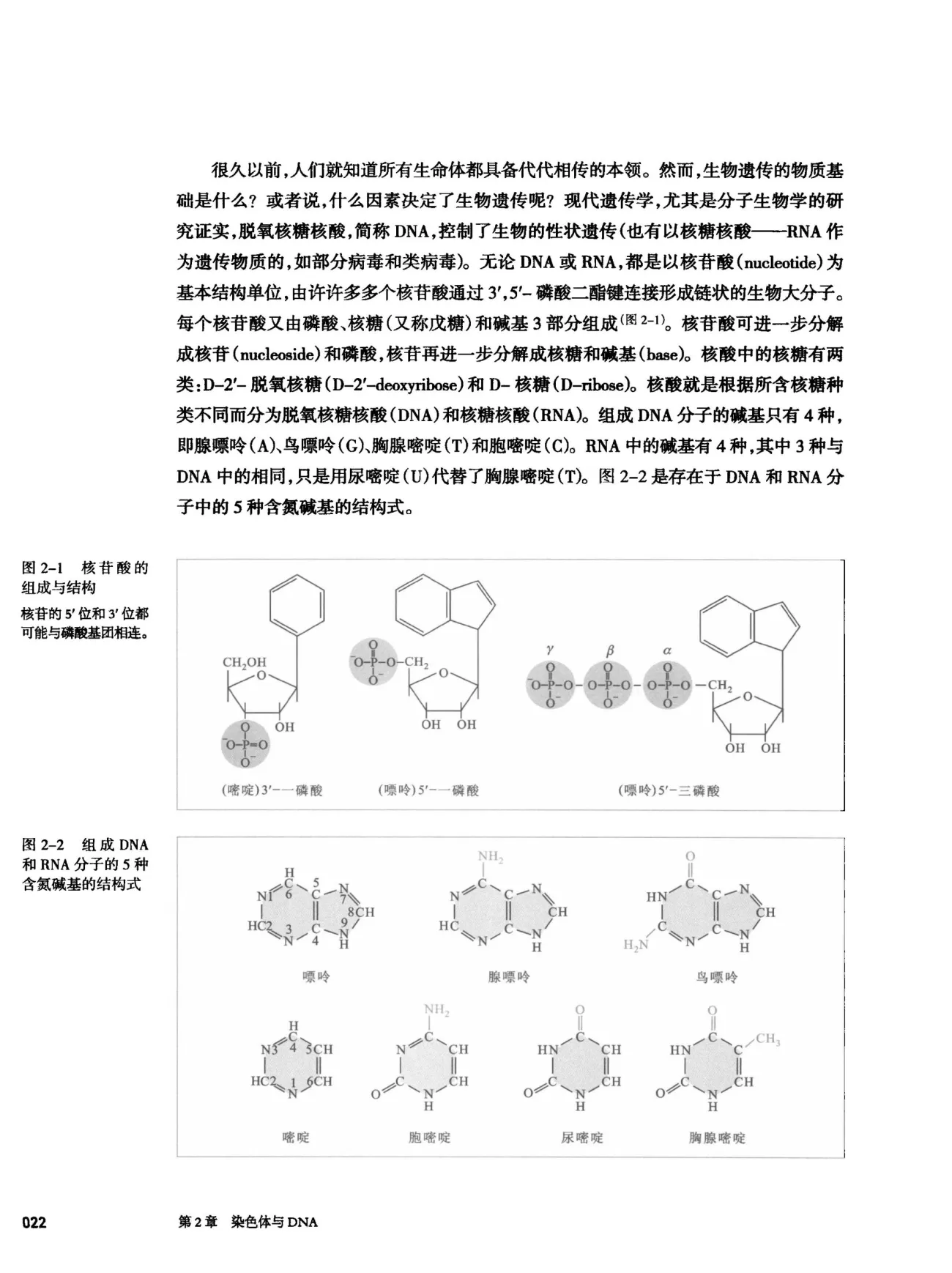 朱玉贤《现代分子生物学》第5版 PDF电子书