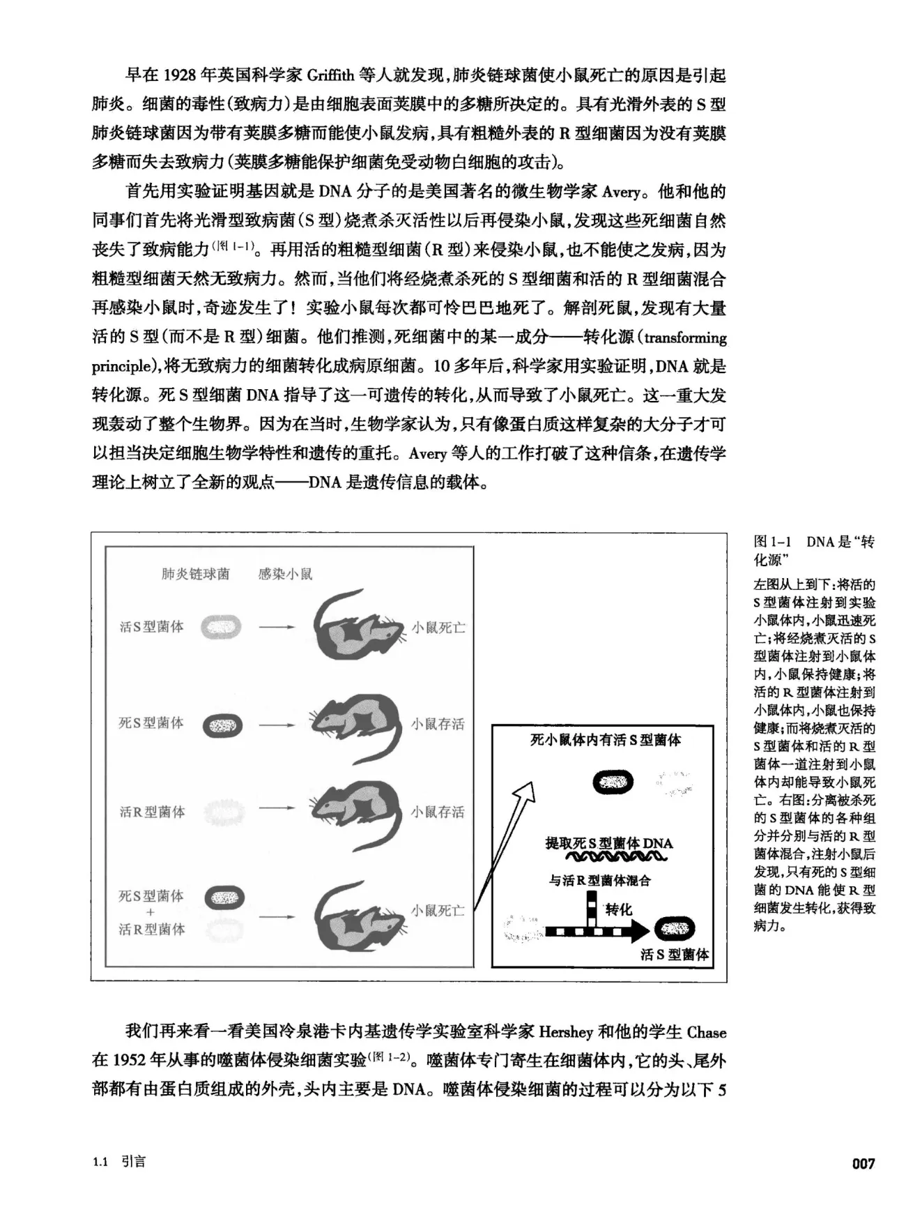 朱玉贤《现代分子生物学》第5版 PDF电子书