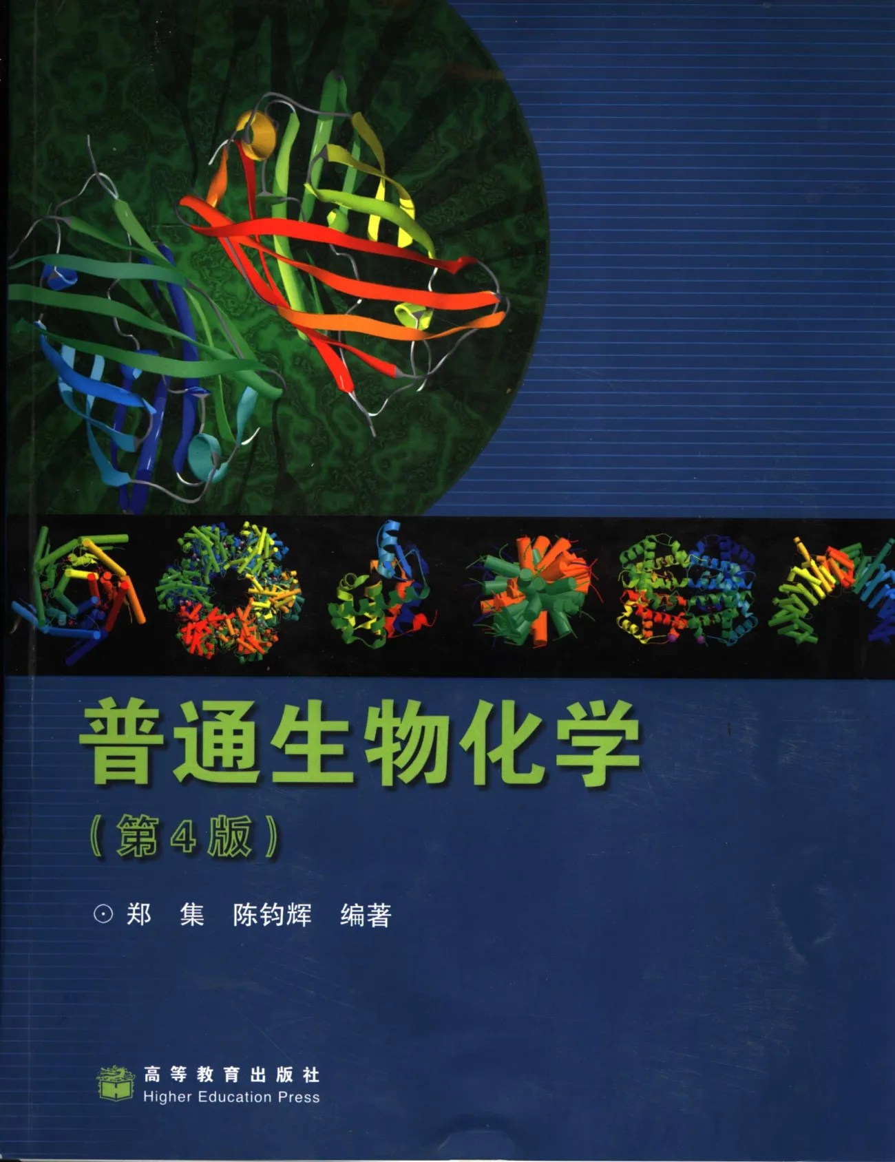 陈钧辉《普通生物化学》第4版 PDF电子书