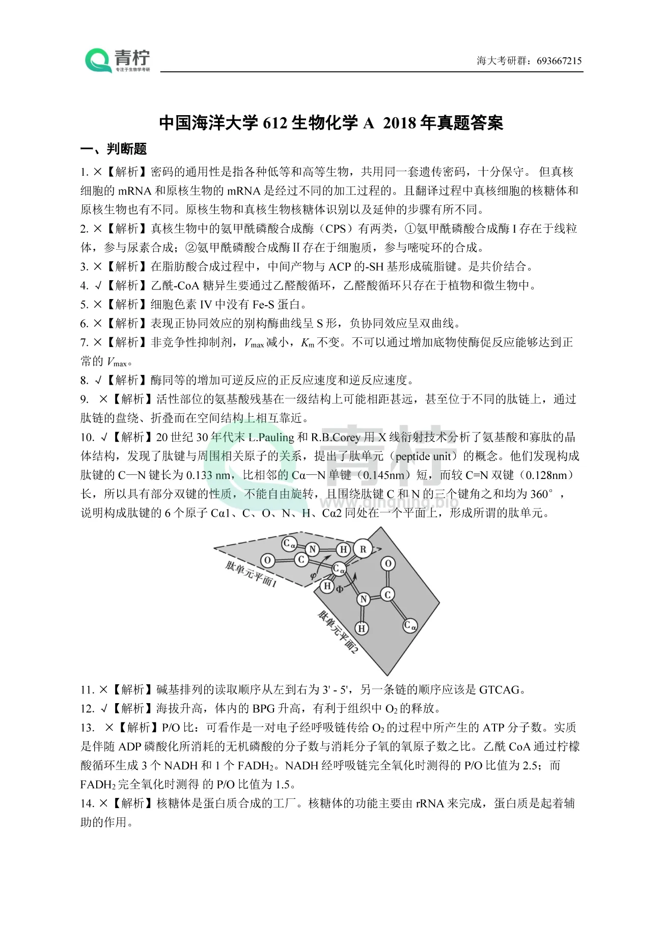 2025中国海洋大学考研 612生物化学A 历年真题+解析